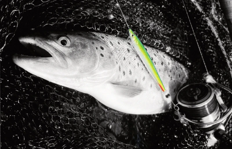 Fladen Silver Chaser 18g 2 Fladen Silver Chaser 18g – Image 2