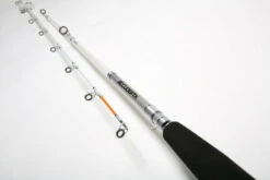 Daiwa Accudepth Trolling 8'0 12-20LB -Promos Cannes Boutique 198165 3
