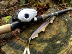 Quantum Accurist Baitcast AT101 HPT 11 Quantum Accurist Baitcast AT101 HPT -Promos Cannes Boutique 22 570101 6