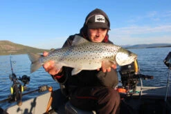 Headbanger Cranky Shad -Promos Cannes Boutique CS 25 SS BKr 3