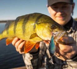 Headbanger Cranky Shad -Promos Cannes Boutique CS 25 SS BKr 4