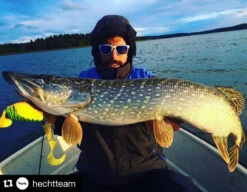 Headbanger Tail -Promos Cannes Boutique Headbangertailr 4