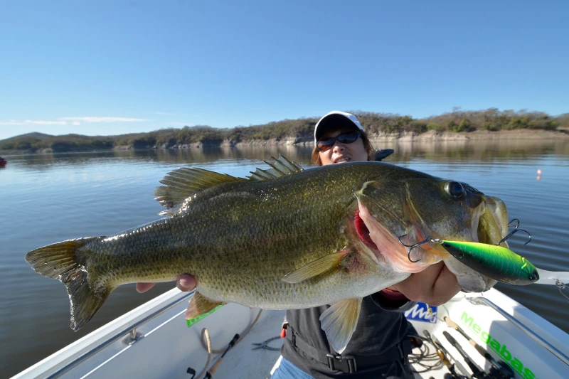 Megabass Deep-X 300 2 Megabass Deep-X 300 – Image 2