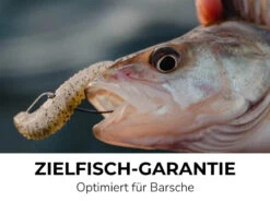 Jaeger Phox 7,6cm (8-pack) -Promos Cannes Boutique PRC PHO 06 1r 5